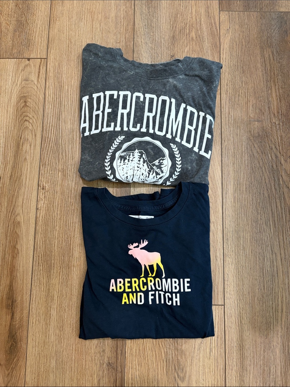 Abercrombie & Fitch Navy Tee & distressed long sleeve Tee (Set of 2)